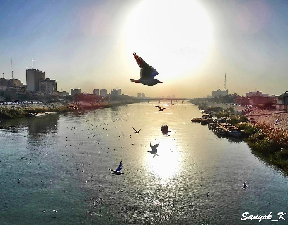 511 Baghdad Shohada bridge Багдад Мост Шухада