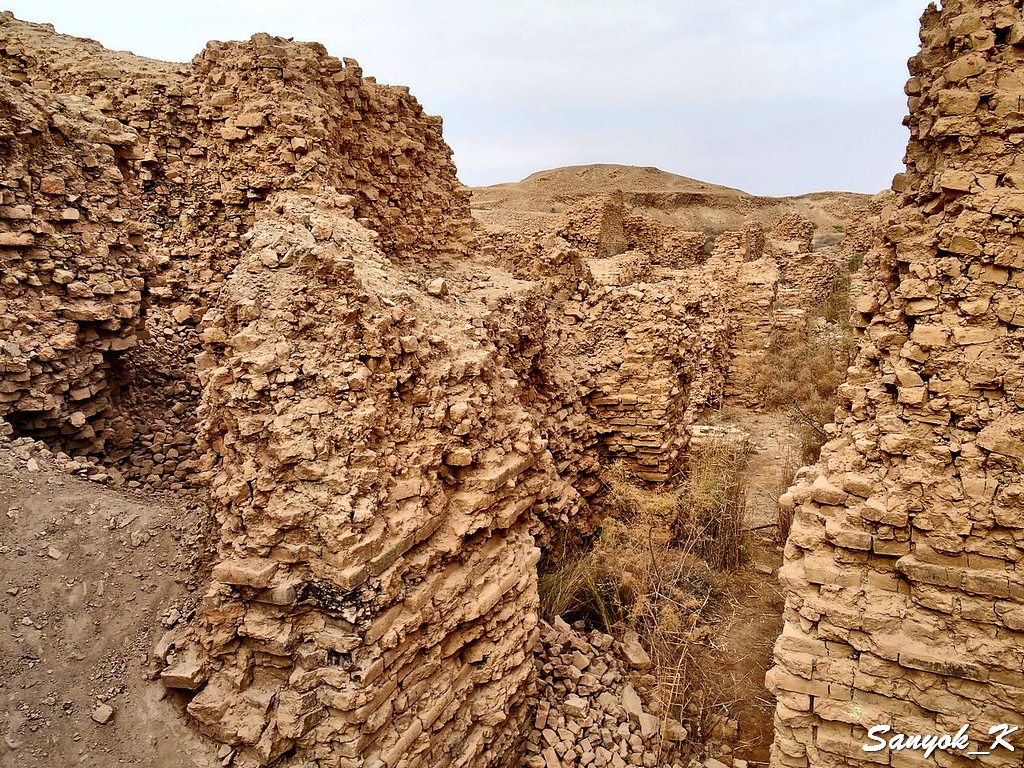 910 Hillah Babylon Ruins of Palace near Lion Хилла Вавилон Руины дворца рядом со львом