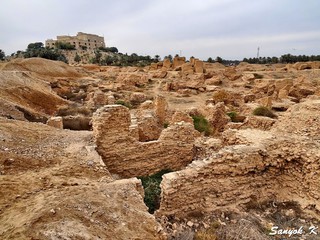 911 Hillah Babylon Ruins of Palace near Lion Хилла Вавилон Руины дворца рядом со львом